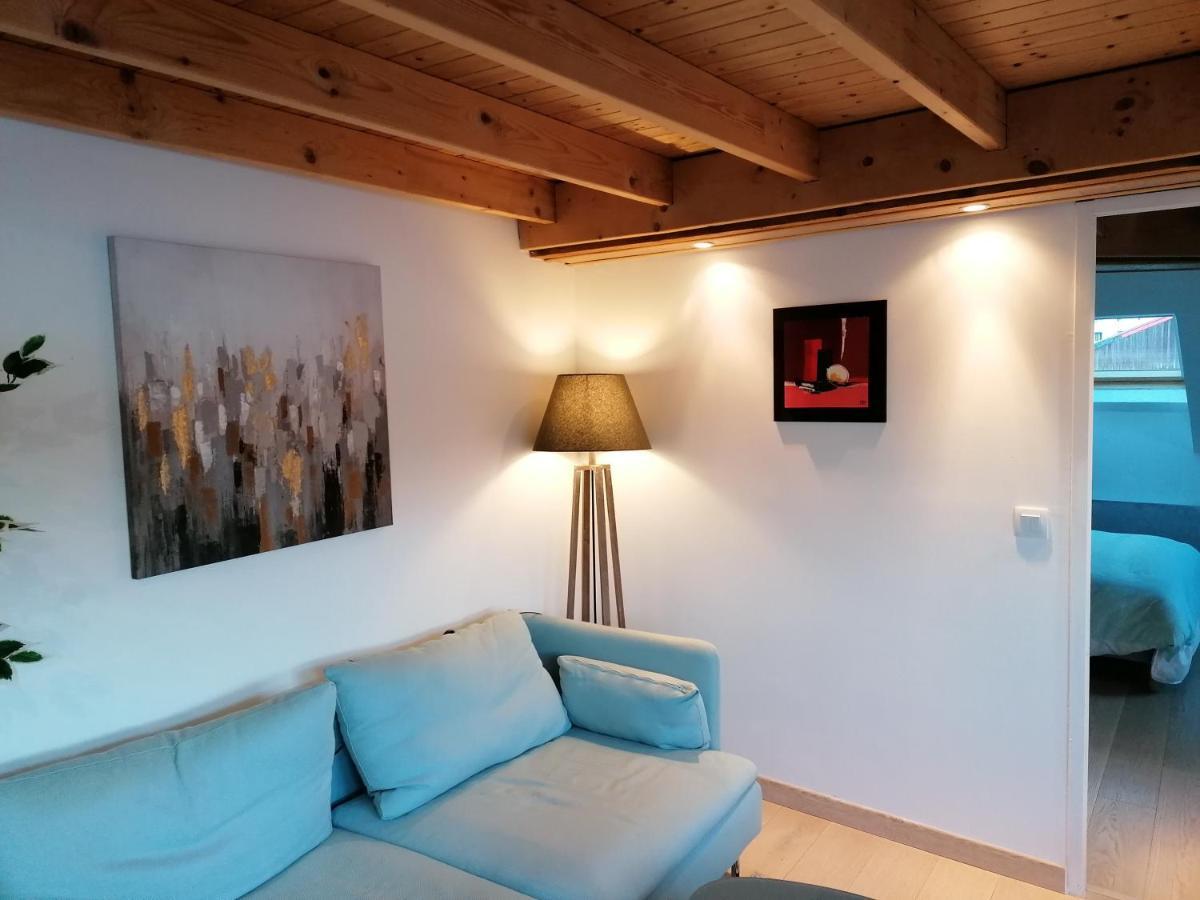 Le Panorama Apartment Voiron Exterior photo